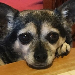 Meet your Posher, Carly